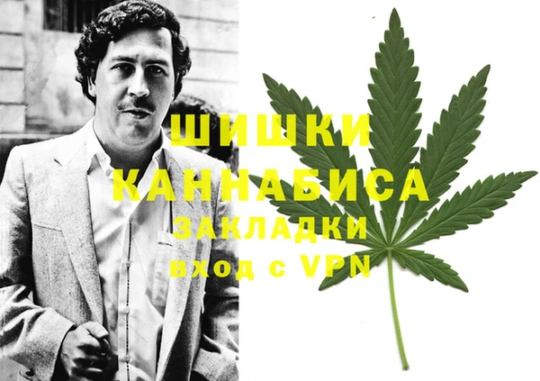 spice Дмитров