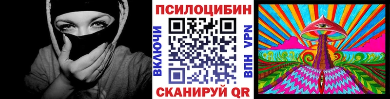 Купить  Исилькуль  Псилоцибиновые грибы Psilocybine cubensis 